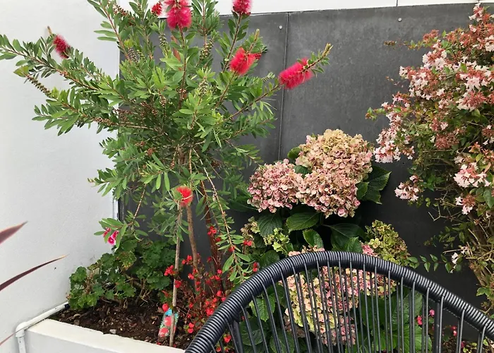 Grandparents' House 蓬塔德尔加达