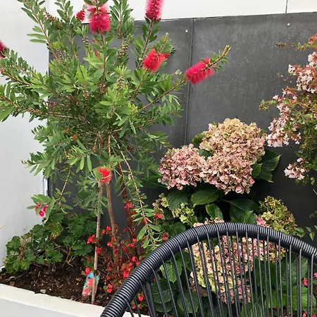 Grandparents' House Ponta Delgada